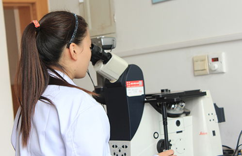 研究開發(fā)與技術咨詢 協(xié)同驅(qū)動創(chuàng)新與商業(yè)價值